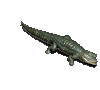 Forgotten Island Alligator