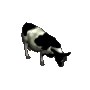 Milkcow