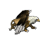 Valley Griffon